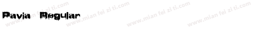 Pavia Regular 语言英文字体转换